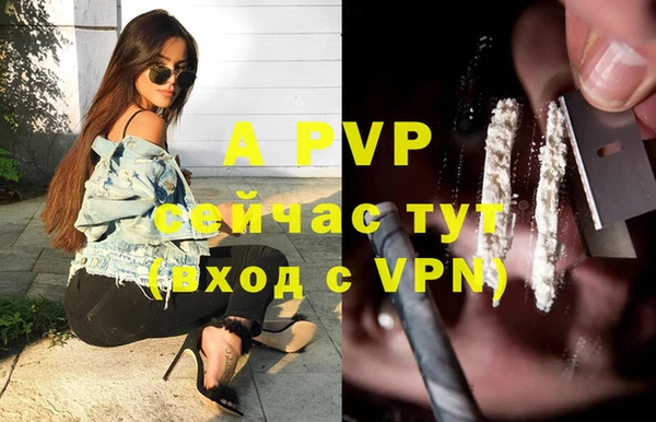 прущая мука Новодвинск