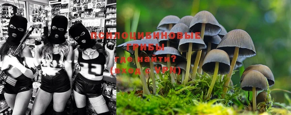 мескалин Новокубанск