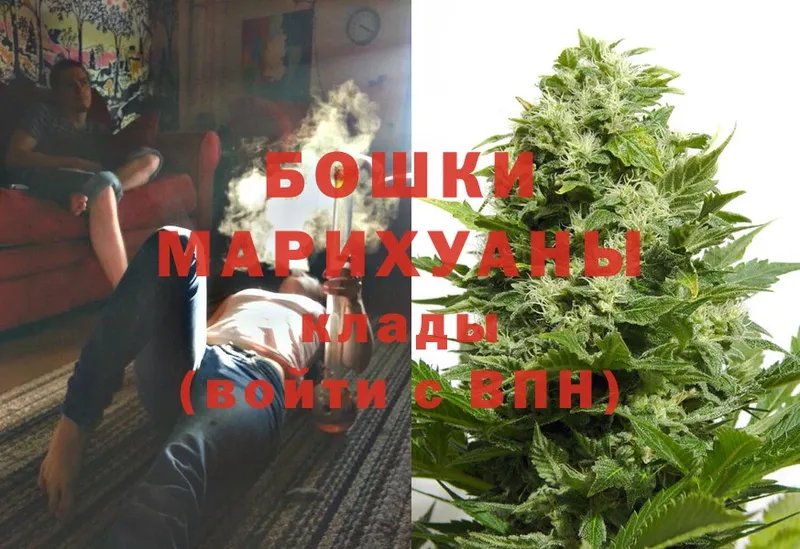 Канабис Ganja  наркотики  Оса 